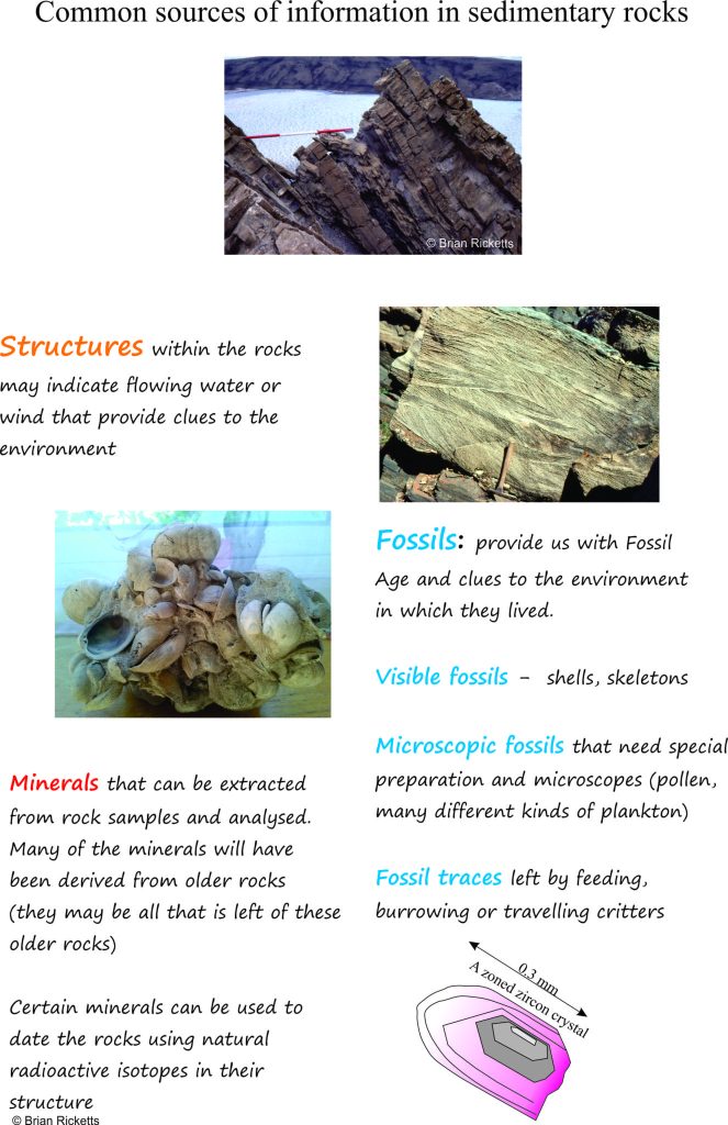 How Do We Know Which Way Is Up? #1. Getting Started - Geological ...