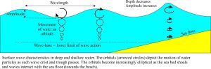 Tsunamis behave as shallow-water waves - Geological Digressions