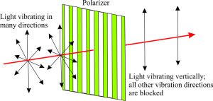 polarizing microscope