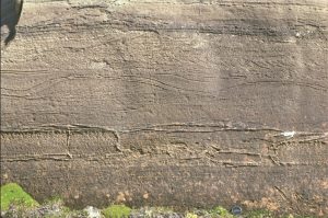 Proterozoic tidal bedforms - reactivated subaqueous dunes (mid image), possible herringbone crossbeds, and smaller ripples. Also evidence for beachrock in the lower broken bed.  Rowatt Fm, Belcher Islands (about 2 billion years old). Lens cap bottom right.