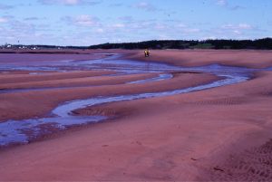 Large, 2D subaqueous dunes, intertidal Minas Basin, Fundy Bay. Late stage ebb ripples in the troughs.