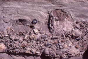 The Paleocene armoured mudball, to the right of the lens cap, from the Summit Creek Fm - small pebbles pepper the mud ball surface.