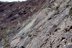 Hummock cross stratification (HCS) in a typical lower shoreface shelf cycle (storm wave-base),  Jurassic Bowser Basin, northern British Columbia. Hammer rests on a thin pebbly debris flow that immediately underlies the HCS unit.  It is generally thought that HCS forms during storms, from the combination of a unidirectional flowing bottom current, possibly as a sediment gravity flow, that is simultaneously moulded by the oscillatory motion of large storm waves.