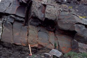 The upper portion of this coarsening upward shelf cycle, the highstand systems tract, contains low-angle planar lamination and some hummocky cross-stratification (HCS). The base of the transgressive unit (TST) is an erosional surface. Jurassic Bowser Basin, northern British Columbia