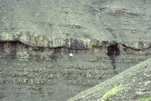 The same fluvial, lowstand channel shown in the images above. The channel is about 2m thick.  Jurassic Bowser Basin, northern British Columbia.