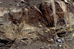 Transition from a sandy HST, to fossiliferous mudstone (small ammonite near the lens cap) of the TST. The top of the TST corresponds to a maximum flooding surface (MFS) - the stratigraphic record of maximum transgression.  Jurassic Bowser Basin, northern British Columbia.