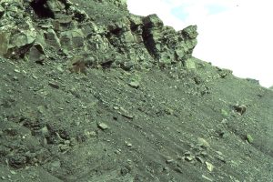 Coarsening=upward cycle at about outer- to mid-shelf - some HCS at the top of the sandstone. This is a more seaward cycle to that shown above.   Jurassic Bowser Basin, northern British Columbia.