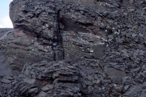 Possible swaley bedding, formed in much the same way as HCS, but where the hummocks have been eroded leaving the concave-upward swales. Jurassic Bowser Basin, northern British Columbia.