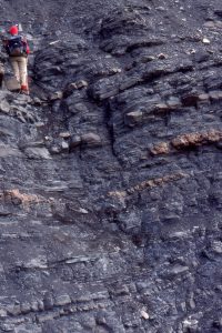 This shale to thinly bedded sandstone cycle occurs close to the shelf edge, at the transition to slope deposits.  There are a few bottom current ripples, but no HCS or larger dune structures. Jurassic Bowser Basin, northern British Columbia.