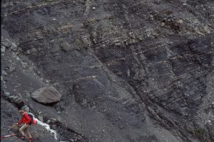 Stratigraphic discordances occur at all scales in the Bowser Basin slope deposits. Many are caused by slumping, but discordant mudrock packages also arose from flows spilling over the channel-gully margins. The discordance right and in line with the geologist is also similar to a downlapping package.