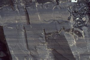 Thin graded sandstone beds, starved ripples, laminated sandy mudstone, small slump folds, syn-sedimentary pull-aparts or boudinage, and microfaults, all features that are  typical of slope facies mudrocks. Bowser Basin, British Columbia.