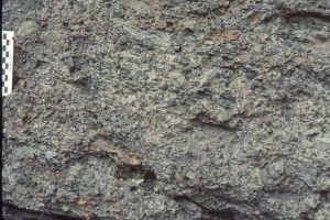 Contrasting debris flow textures in this and the image following; both types are common in the Todagin slope channel succession, and in the shelfbreak gullies. Bowser Basin, British Columbia.. Here,clasts are supported by mud - deposited as a fairly plastic debris flow. 