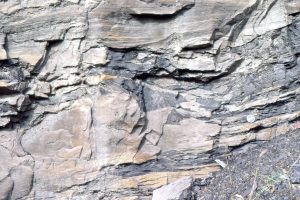 Slumping and rotation of laminated sandstone-mudstone in point bar foresets (Carboniferous of Kentucky, near Rush, Highway I-64). Small synsedimentary faults cut the middle layers.