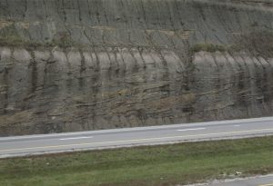 Large meandering river point bar (left dipping beds) and overlying floodplain-swamp muds, associated with the Princess Coals, Carboniferous of Kentucky, near Rush (Highway I-64).  Point bar 'foresets' consist of laminated, rippled, and slumped, fine grained sandstone-mudstone.