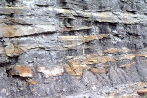 Detail of the inclined point bar layers show numerous discontinuities in sandstone lenses and wedges, and truncation surfaces that indicate shifting sediment distribution across the bar, and possibly some erosion.  Carboniferous of Kentucky, near Rush (Highway I-64).