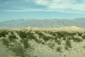 Mesquite Flat dunes, Death Valley, near Stovepipe Wells.  An inland 'sea' of sand, usually organized as dunes, is called an erg.