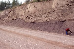 Crossbedded sandstone-filled channel in the Dunvegan Formation, Peace River, northern British Columbia. This view shows overall asymmetry of the channel. The channel has cut into muddy, carbonaceous, overbank-floodplain deposits.