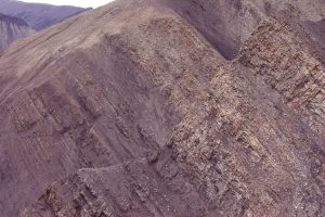 Closer view of a coarsening-upward prodelta-shoreface cycle, Strand Fiord, Axel Heiberg Island. Hummocky cross-bedding occurs with associated with ripples, small sand waves, and current scours. The abrupt upper surface (top right) marks the beginning of transgression,with a maximum flood surface about 1m above.