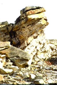 Large within-channel dunes in a tidal inlet associated with a sand spit facies; the spits and bars were attached to (paleotopographic) headlands across an unconformity eroded into Ordovician carbonates. Paleocene, Eureka Sound Group, Ellesmere Island.