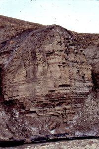 Small coarsening upward, shoreface cycle capped by coal, representing marine incursion of the min river-dominated delta. Eocene Iceberg Bay Fm, Axel Heiberg Island. Coal at the base of outcrop is the top of the preceding cycle.