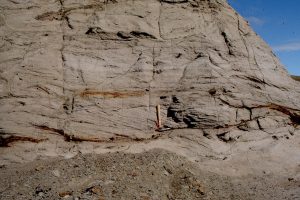 Trough crossbedded fluvial channel, delta plain, in the Eocene Iceberg Bay Fm. Ellesmere Island