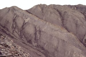 Coarsening-upward cycles, from prodelta to lower delta plain, in an Eocene river-dominated delta, Axel Heiberg Island. Channel sandstone and thin overbank coals occur in the upper part of each cycle. Iceberg Bay Fm, Eureka Sound Group. The river-dominated system is separated from the earlier wave-dominated system by a 3rd-order transgression that influenced deposition through the entire basin