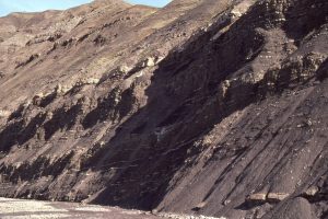 Coarsening upward muddy shelf cycles, mostly below storm wave-base, but the occasional cycle extending into lower shoreface (some HCS).  Eocene, Eureka Sound Group, Ellesmere Island