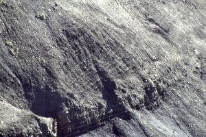 Downlap of muddy outer shelf siltstone and mudstone, Eocene Strand Bay Fm, Ellesmere Island