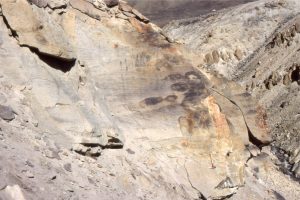 Sandy, Paleocene shelf dunes forming part of large sandwave complexes. Most of the crossbeds are the planar, or 2D type. There is some indication here of tidal (flood-ebb) couplets (see next image).  Expedition Fm, Eureka Sound Group, Ellesmere Island.