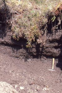 Exposed permafrost - frozen soil, north Yukon.