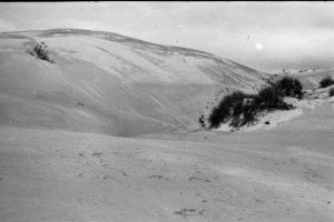 Large, active barchan dunes traverse Kokota sandspit that forms a protextive barrier to Parengarenga Harbour, northernmost New Zealand. This view is of the main lee face. The dune is about 8m high.