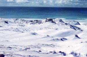 Coastal dunes bordering Great Exhibition Bay, northernmost New Zealand. The white sand contains 90-95% quartz.  Much of the sand for the modern dunes comes from reactivation of late Pleistocene dune complexes, and sand stored on the adjacent shelf.