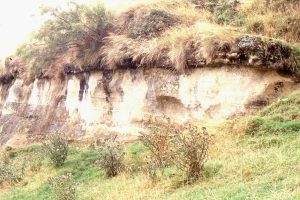 Large planar crossbeds in shelf sandwaves (HST), overlain by a pebbly shellbed deposited during the next transgression (TST).  Late Miocene - Early Pliocene Matemateaonga Fm, Blackhill, west North Island.