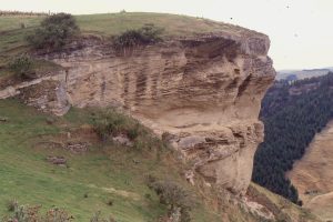 Late Miocene - Early Pliocene coarsening upward shelf cycles, from outer-mid shelf siltstone-sandstone, to shoreface, tidally induced sandy coquina sandwaves (left image), part of the highstand systems tract. The carbonate facies are part of the classic, cool-temperate water limestones of Wanganui Basin, New Zealand.  Matemateaonga Fm, Blackhill.