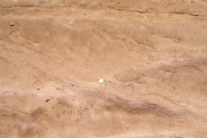 Detail of large shelf dune foresets (dip right) with backflow ripples climbing up foreset dip (to the left). Late Miocene - Early Pliocene Matemateaonga Fm, Blackhill.