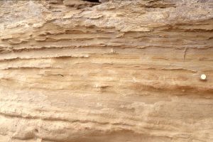 Intertidal to shallow subtidal calcareous sandstone with lenticular and wavy bedding deposited during ebb-flood tides. Late Miocene - Early Pliocene Matemateaonga Fm, Blackhill.