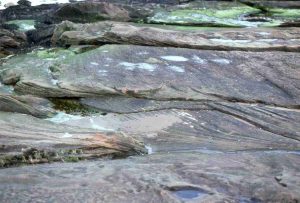 Multiple dune crossbed sets in New Red Sandstone, Arran, west Scotland, 280 to 200 million years old.