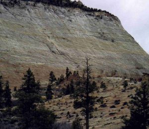 Large, stacked dune foresets (lee-face deposits) in the Jurassic Navajo Sandstone, Zion National Park, of southern Utah