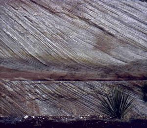 Close up of Jurassic Navajo Sandstone dune crossbeds with tangential toe-sets, Zion National Park, Utah. Image height is about 2m. Large sand dune complexes in a continental desert, about 180 million years ago.