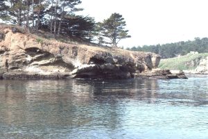 Discordant packages of debris flow conglomerate canyon-fill, Eocene Pt. Lobos submarine canyon, California