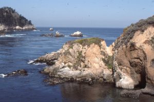 The iconic, Eocene Pt. Lobos submarine canyon, California, where canyon-fill conglomerate (dark brown hues) is in abrupt, steep-walled contact with Salinian granodiorite (white weathering) -  an example of a steep canyon wall.