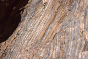 Slump discordant packages of interchannel, thin-graded fine-grained sandstone, Eocene Pt. Lobos submarine canyon, California