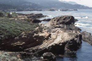 Looking south, along the Pt. Lobos canyon axis. Conglomerate at the base (right), overlain by well-bedded turbidites (paleo browns).