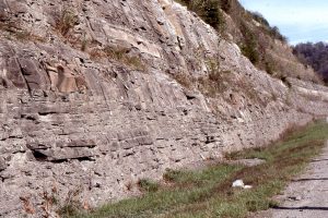 The frequency and thickness of sandstone beds increases towards the distributary mouth bar. Pikeville, Kentucky