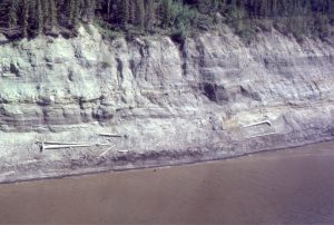 Large planar-tabular and trough crossbeds in Paleocene sandy channel deposits, right bank of MacKenzie River near Fort Norman, Northern Canada. A succession of actively migrating channels are indicated by discordant pebble lags, 