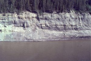 Paleocene Sandy braid channel and associated bar crossbeds (Summit Creek Fm.) exposed in right bank of MacKenzie River near Fort Norman, Northern Canada. The following image shows continuation of the exposure to the right.