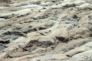 Festooned trough crossbeds in Proterozoic low sinuosity sandy channels, Loaf Fm. Belcher Islands (1.8 to 2 billion years old). 