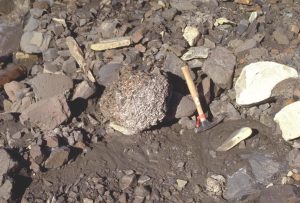 Armoured mudballs, an odd-ball (sic) structure sometimes found in fluvial deposits. These form when a chunk of sticky mud slumps from a channel margin, is rolled by currents along the channel floor, and in the process picks up small pebbles and bits of wood. The recent example on the left is from Mackenzie River, near Fort Norman.