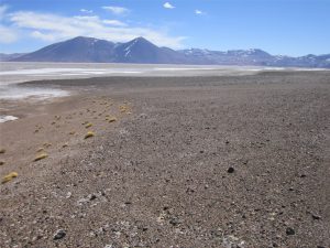 Arid alluvial fans merging with gypsum-halite salars, Atacama, northern Chile. Most fans fringe Eocene and younger volcanic cones.