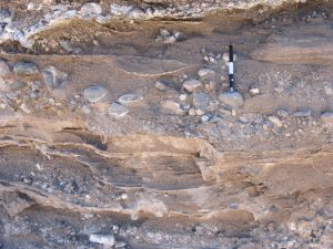 Well bedded-laminated sheet flood sands are probably traction deposits (a few bedload ripples). The intervening poorly-sorted, pebbly sands are hyperconcentrated flow deposits. From a more distal part of an arid alluvial fan, Atacama, northern Chile.